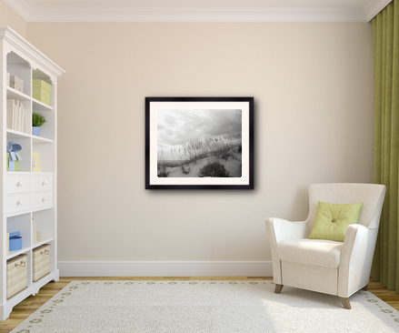 example of a 20x24 frame with 16x20 image