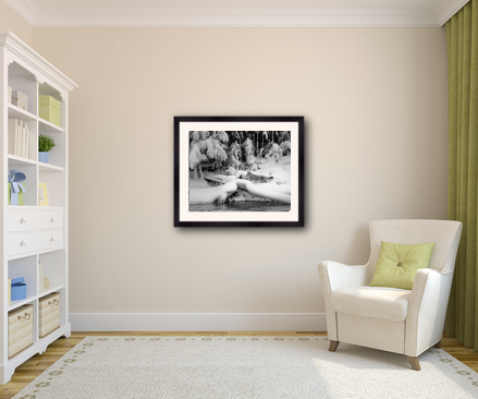example of a 20x24 frame with 16x20 image