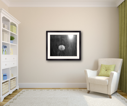 example of a 20x24 frame with 16x20 image